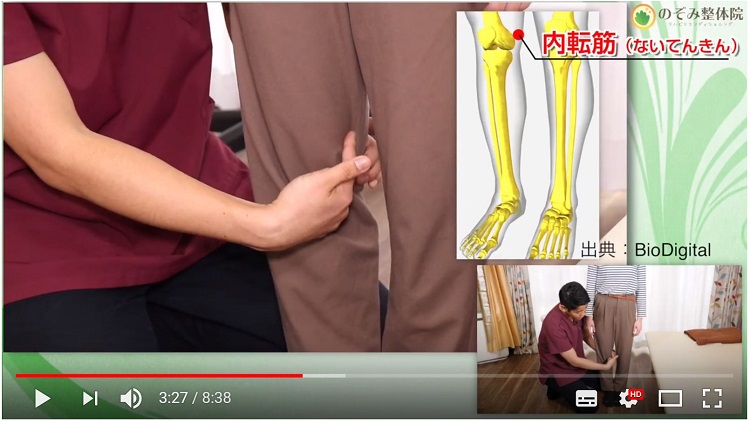日本【膝の痛み】研究所