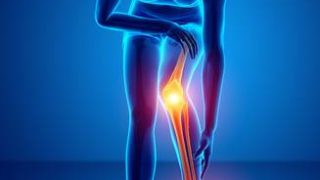 膝の痛み,原因,関節