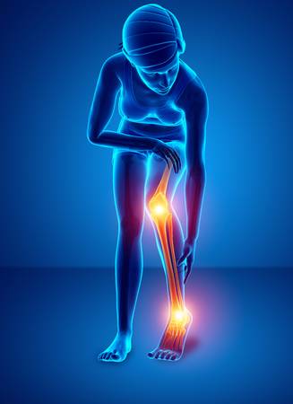 膝の痛み,原因,関節
